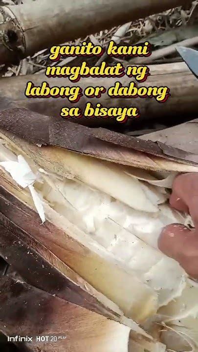 bisaya scandal|Ganito Kami ni EX Mag SEX Bilang Probinsya Life (Iyutan sa .